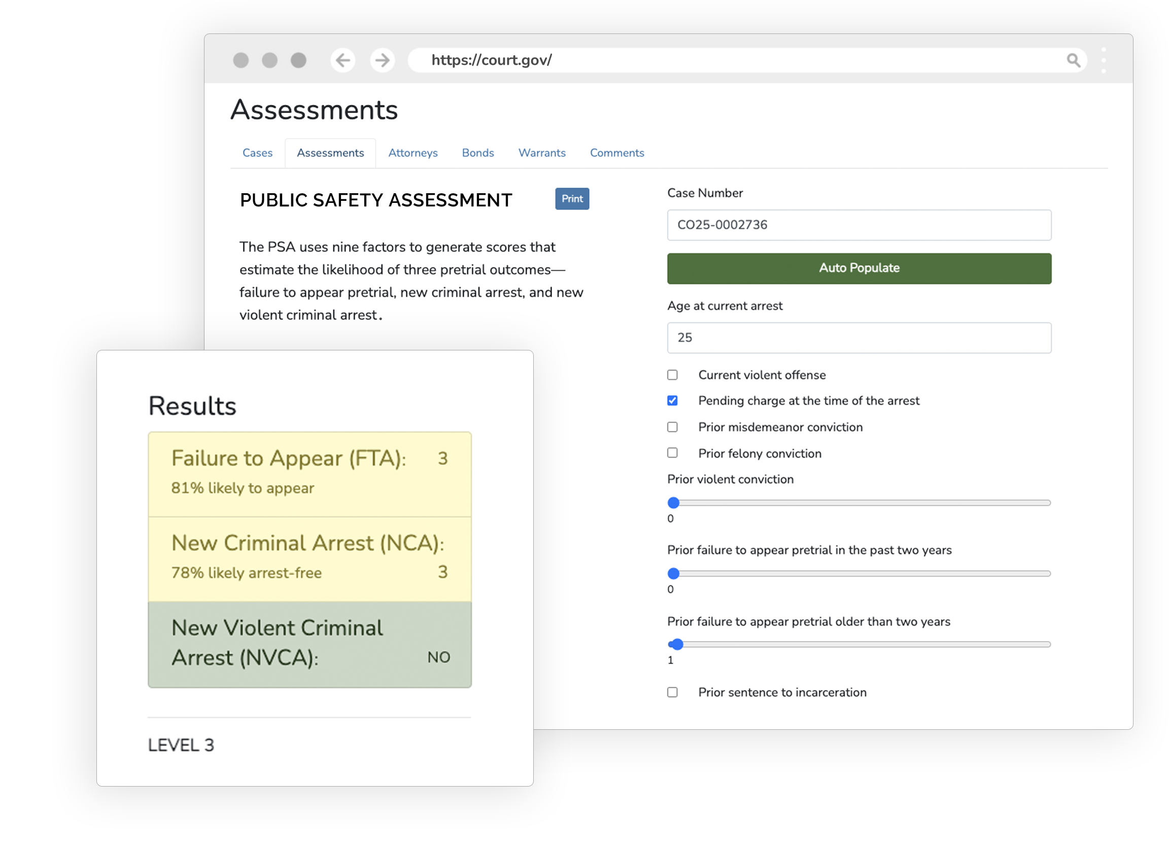 Public Safety Assessment